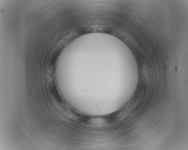 X0000073900218200609082156