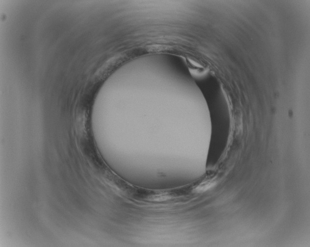 X0000073900219200609082156