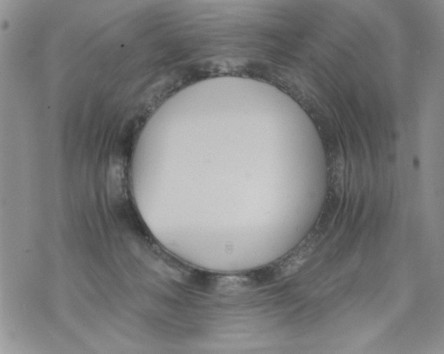 X0000073900222200609082156