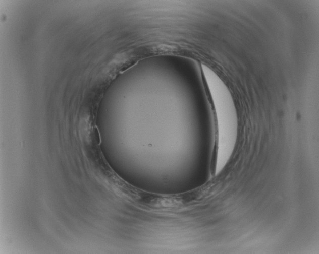 X0000073900223200609082156