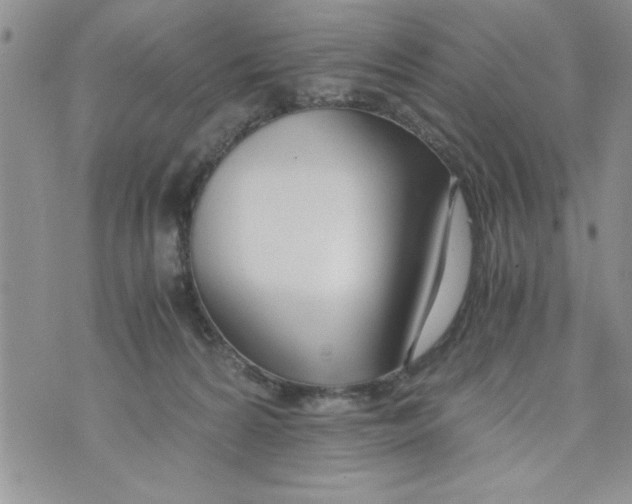 X0000073900224200609082156