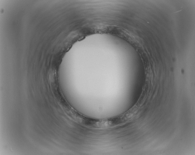 X0000073900225200609082156