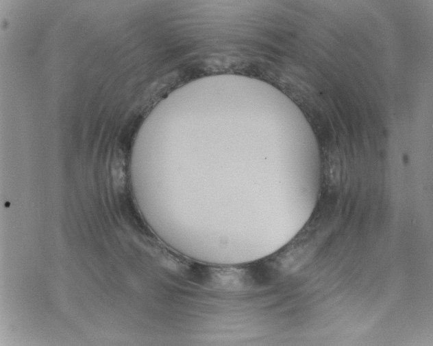 X0000073900226200609082156