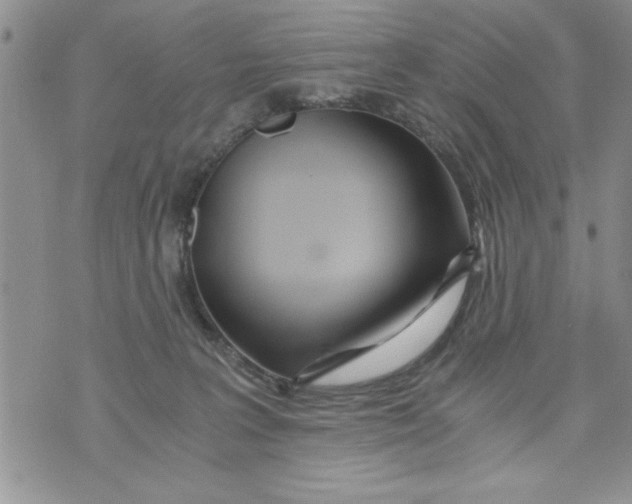 X0000073900227200609082156