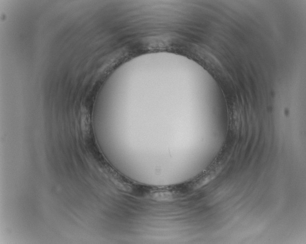 X0000073900228200609082156