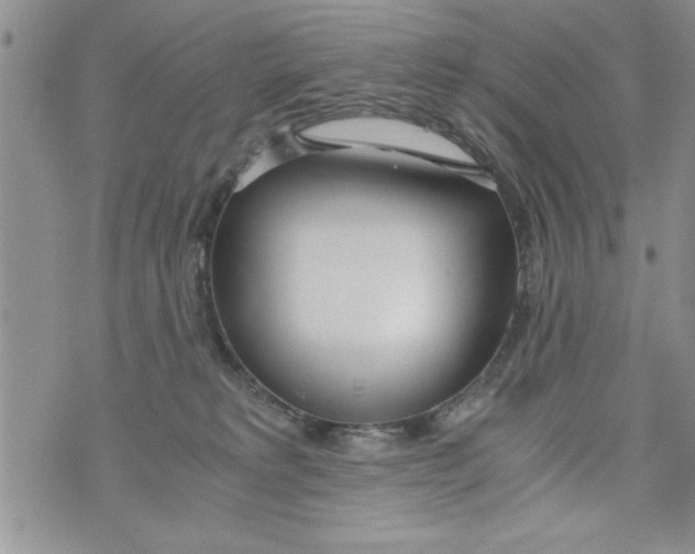 X0000073900229200609082156