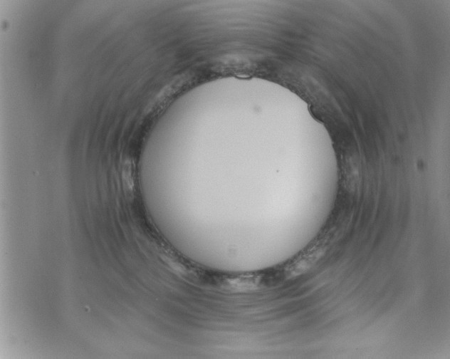 X0000073900232200609082155