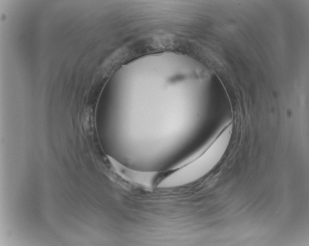 X0000073900233200609082155