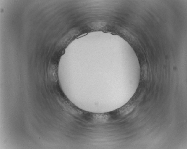 X0000073900234200609082155