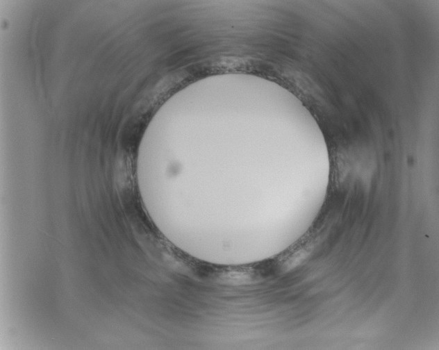 X0000073900236200609082155