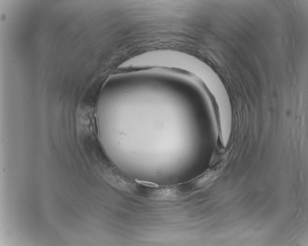 X0000073900237200609082155