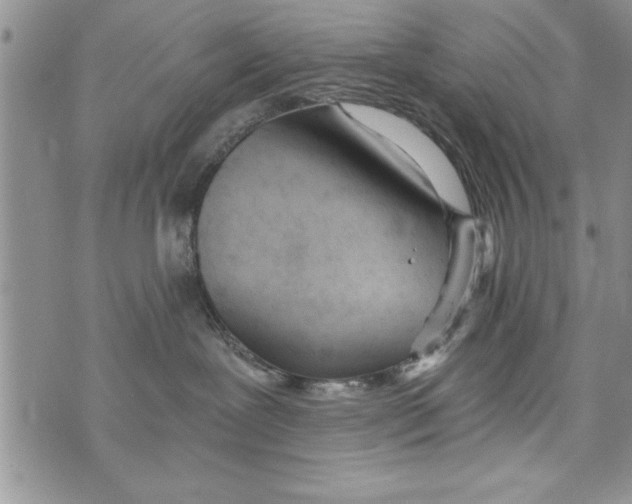 X0000073900239200609082155