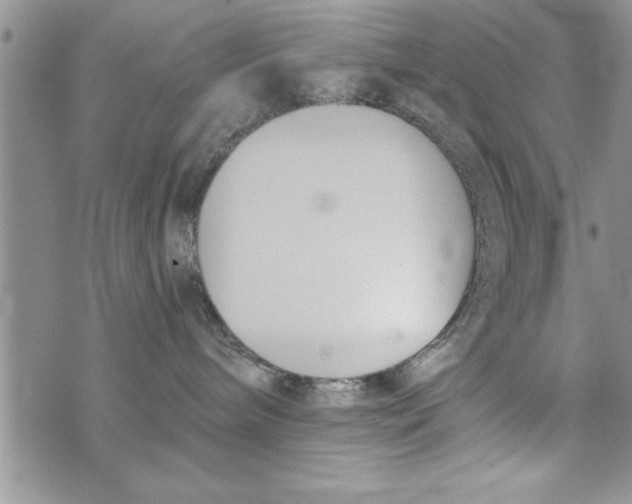 X0000073900240200609082155