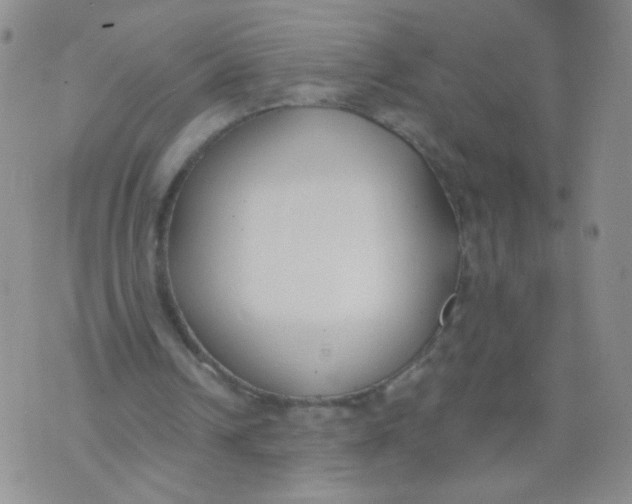 X0000073900242200609082155