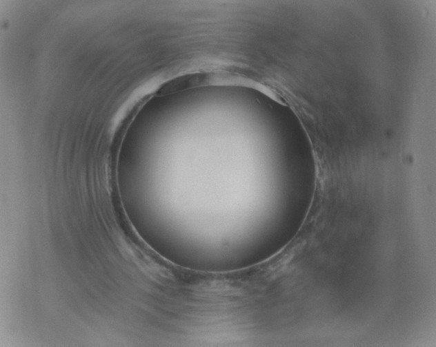 X0000073900244200609082155