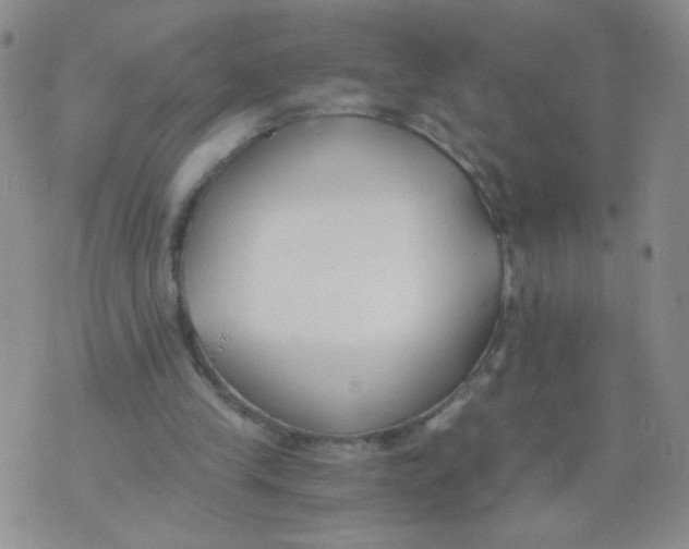 X0000073900245200609082155