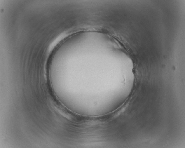 X0000073900246200609082155