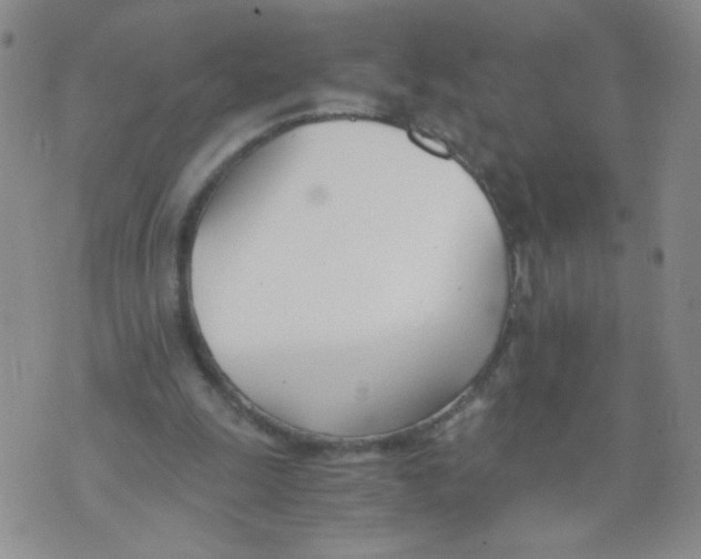 X0000073900247200609082155