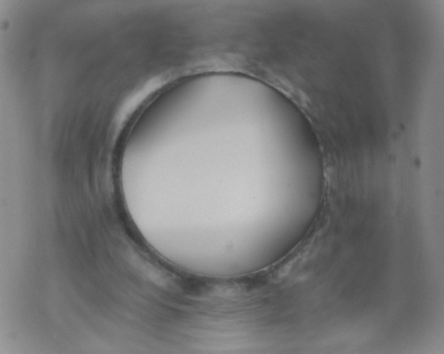 X0000073900248200609082155