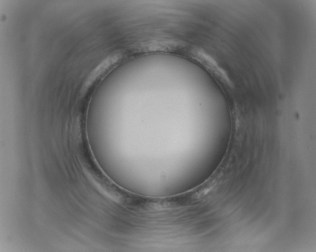 X0000073900250200609082155