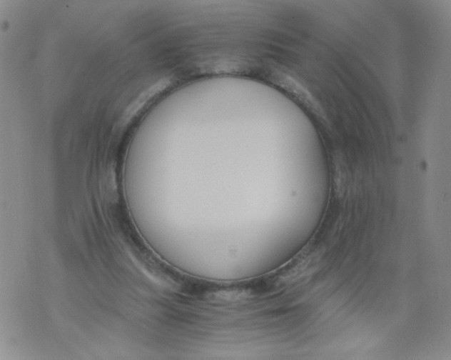 X0000073900251200609082155