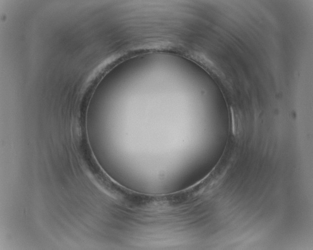 X0000073900252200609082155