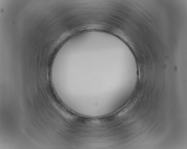 X0000073900253200609082155