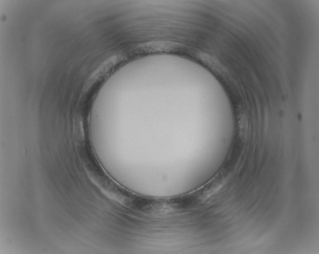 X0000073900254200609082155