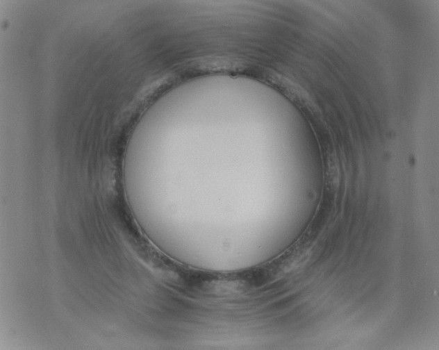 X0000073900255200609082155