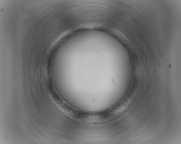 X0000073900256200609082155