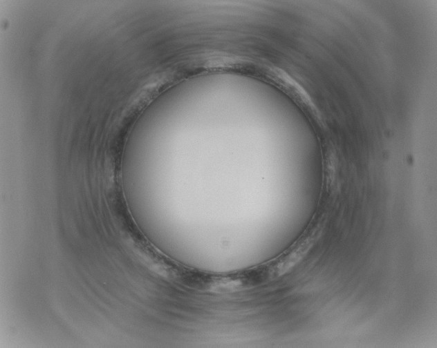 X0000073900257200609082155