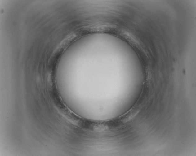 X0000073900258200609082155