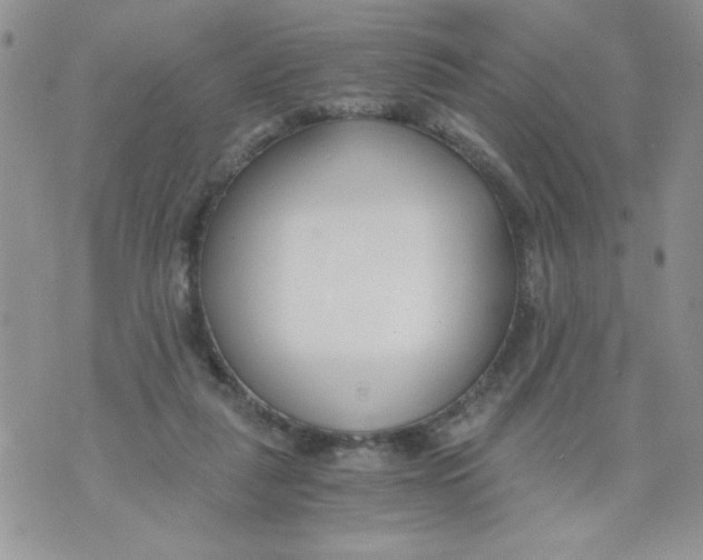 X0000073900259200609082155