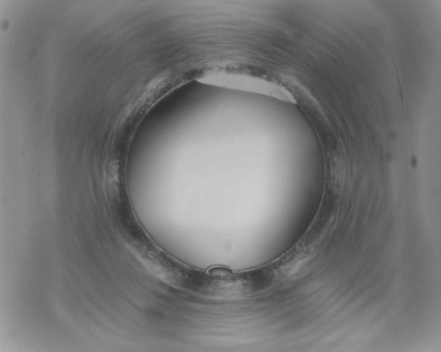 X0000073900260200609082155