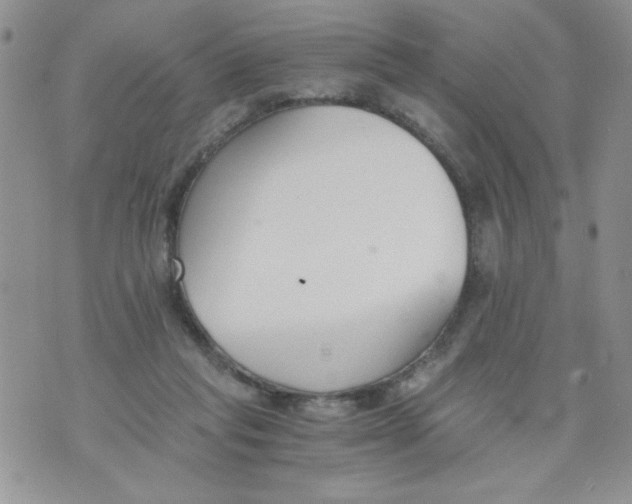 X0000073900261200609082155