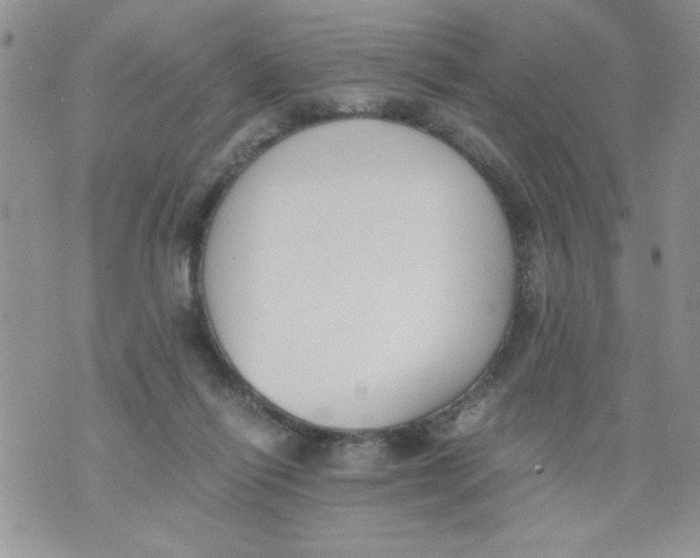 X0000073900262200609082155