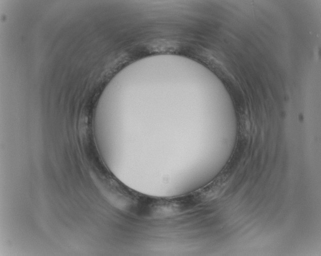 X0000073900263200609082155