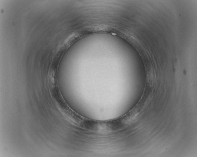 X0000073900264200609082155