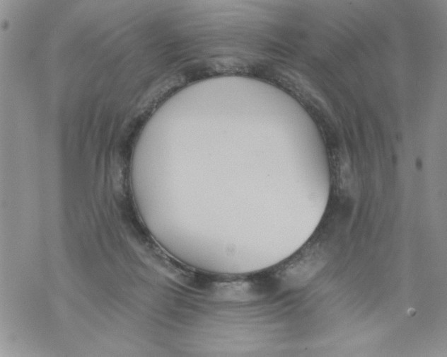 X0000073900266200609082155