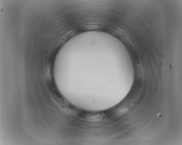 X0000073900267200609082155