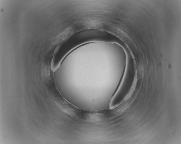 X0000073900268200609082155