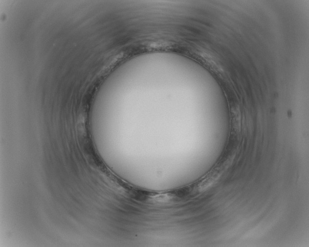 X0000073900269200609082155