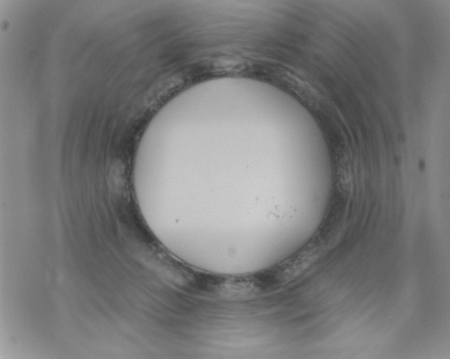 X0000073900270200609082155