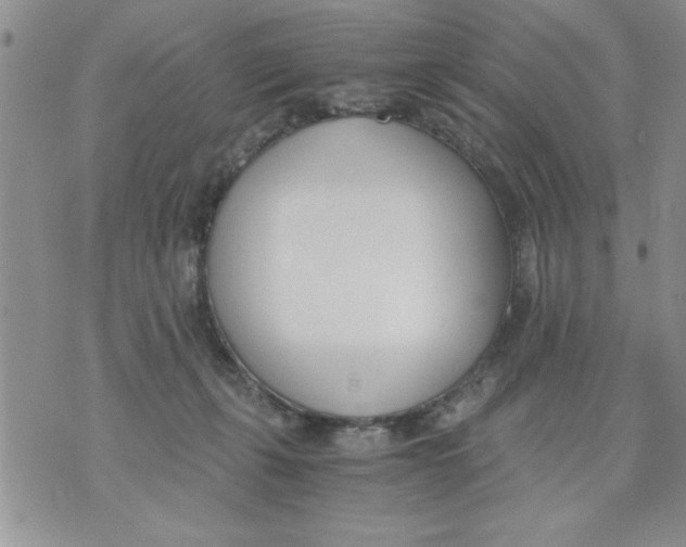 X0000073900271200609082155