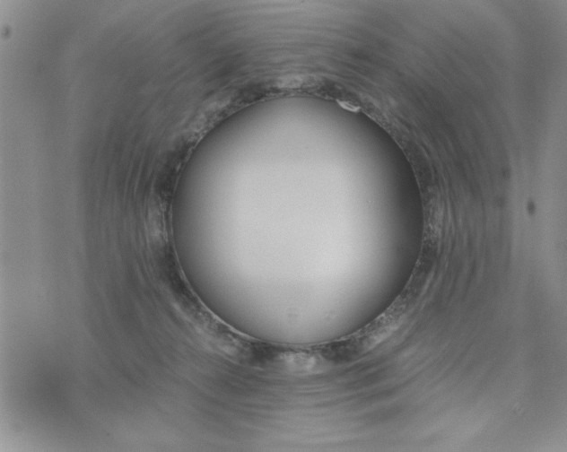 X0000073900272200609082155