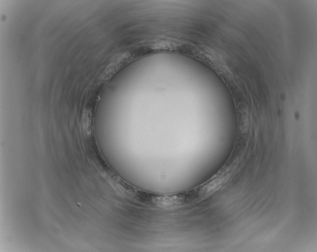 X0000073900273200609082155