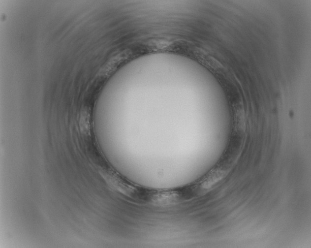 X0000073900274200609082155