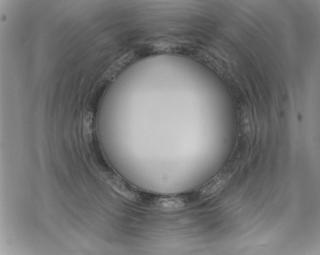 X0000073900275200609082155