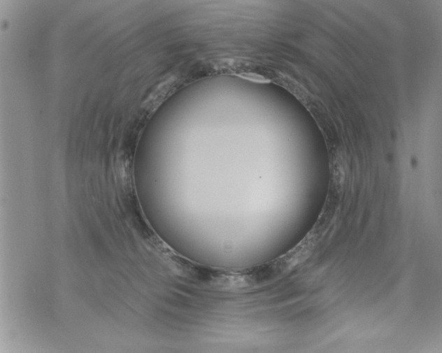 X0000073900276200609082155