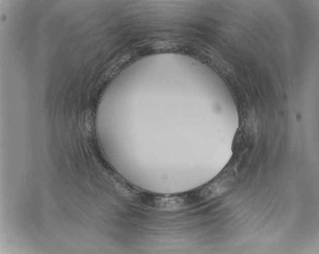 X0000073900277200609082155